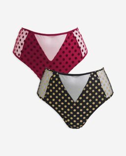 Hannah 2 Pack Everyday Spot Mesh Brief